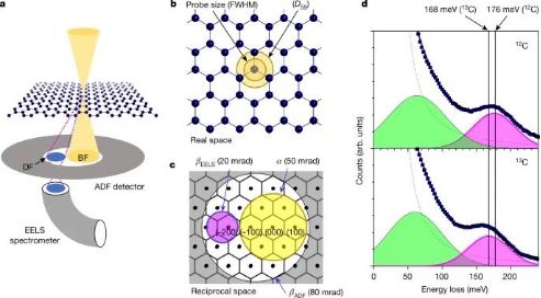突破石墨烯材料 开启纳米尺度同位素标记与示踪新纪元