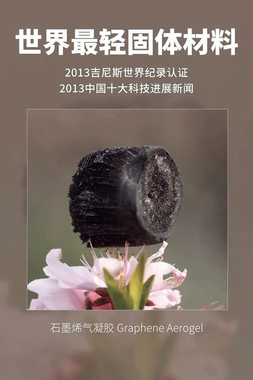 世界上最轻的固体材料!石墨烯气凝胶
